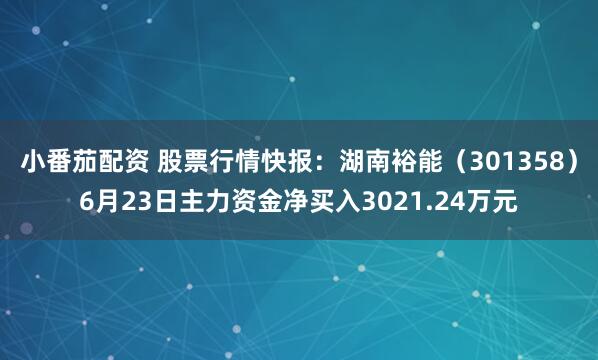 小番茄配资 股票行情快报：湖南裕能（301358）6月23日主力资金净买入3021.24万元