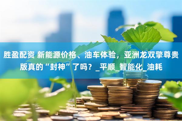 胜盈配资 新能源价格、油车体验，亚洲龙双擎尊贵版真的“封神”了吗？_平顺_智能化_油耗