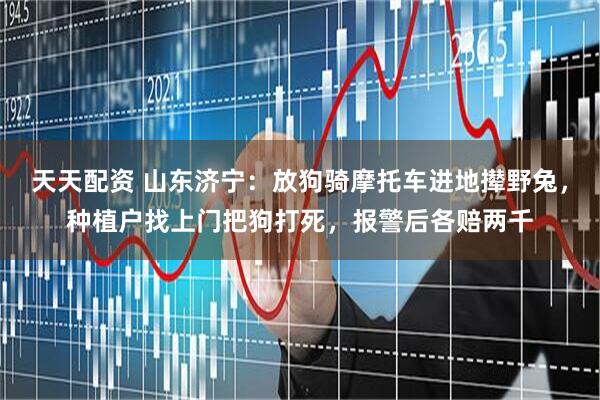 天天配资 山东济宁：放狗骑摩托车进地撵野兔，种植户找上门把狗打死，报警后各赔两千