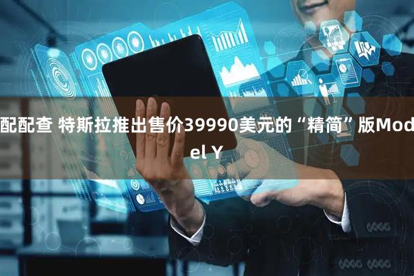 配配查 特斯拉推出售价39990美元的“精简”版Model Y